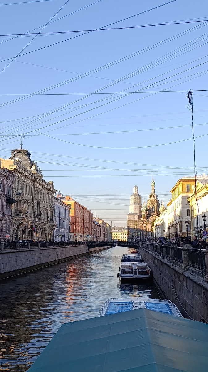 Санкт-Петербург- средоточие студий-пенальчиков