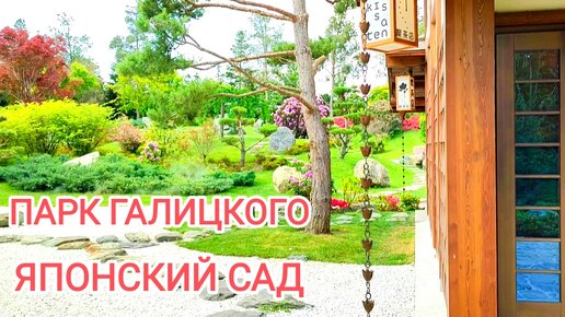 Парк Галицкого. Японский сад. Чайный домик. Кофейня Киссатэн.