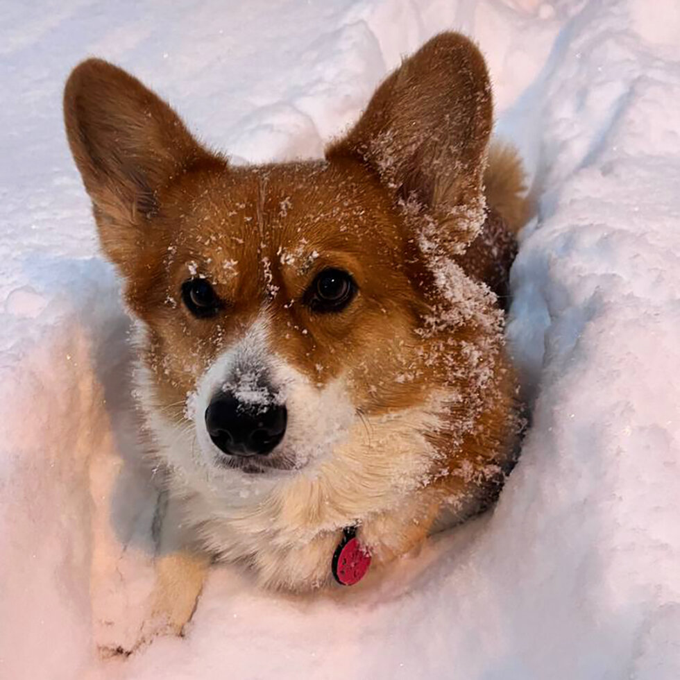 Ну, и когда самолет?