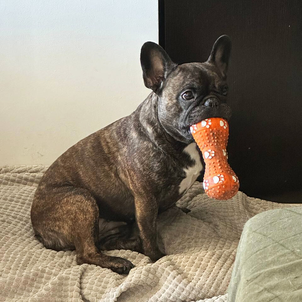 В смысле - я не сокол?