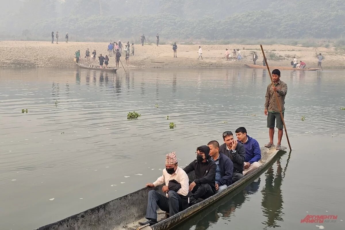    Водоросли в селёдке под шубой и борщ по-непальски.