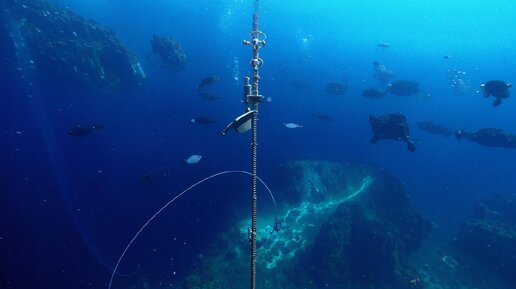 Подводный кабель перестал работать в Норвежском море – не исключают действия России, заявил Том Редсёт