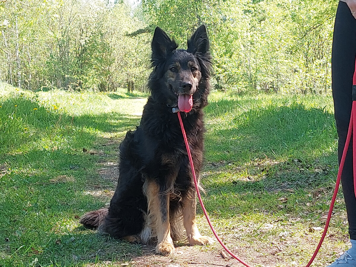 Первая прогулка Космоса