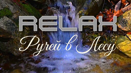 🎵 RELAX MUSIC — Ручей в Лесу: Музыка для Спокойного Сна, Расслабление и Релакс | Пение Птиц и Звуки Природы для Снятия Стресса 🦜