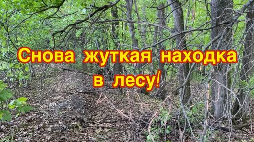 Снова жуткая находка в лесу! Но пустым домой все равно не уехал