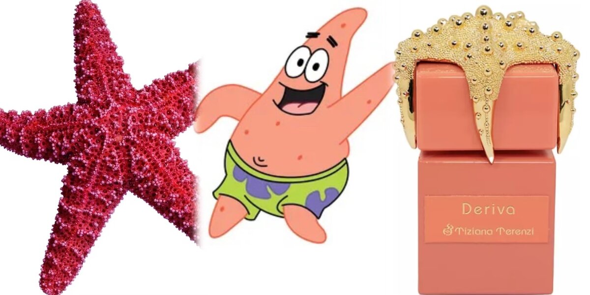 Морские звёзды нормального человека/ребёнка/парфманьяка