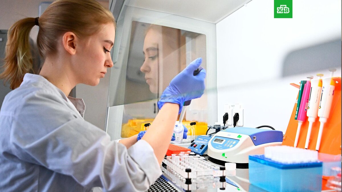    Фото: РИА Новости © 2024, Евгений Одиноков