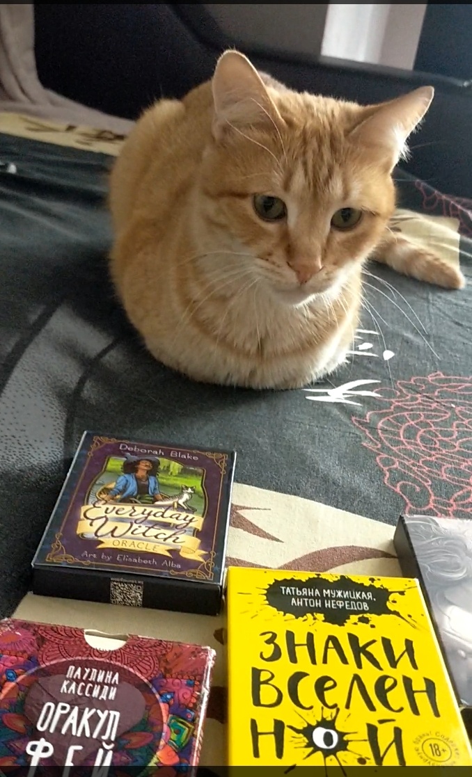 Стресс снимают Таро и котики