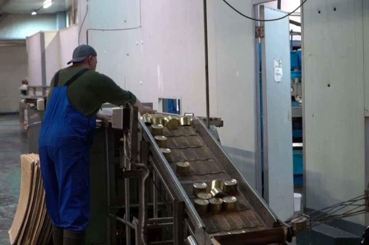    В студотрядах на рыбзаводах Камчатки будут работать более 230 студентов