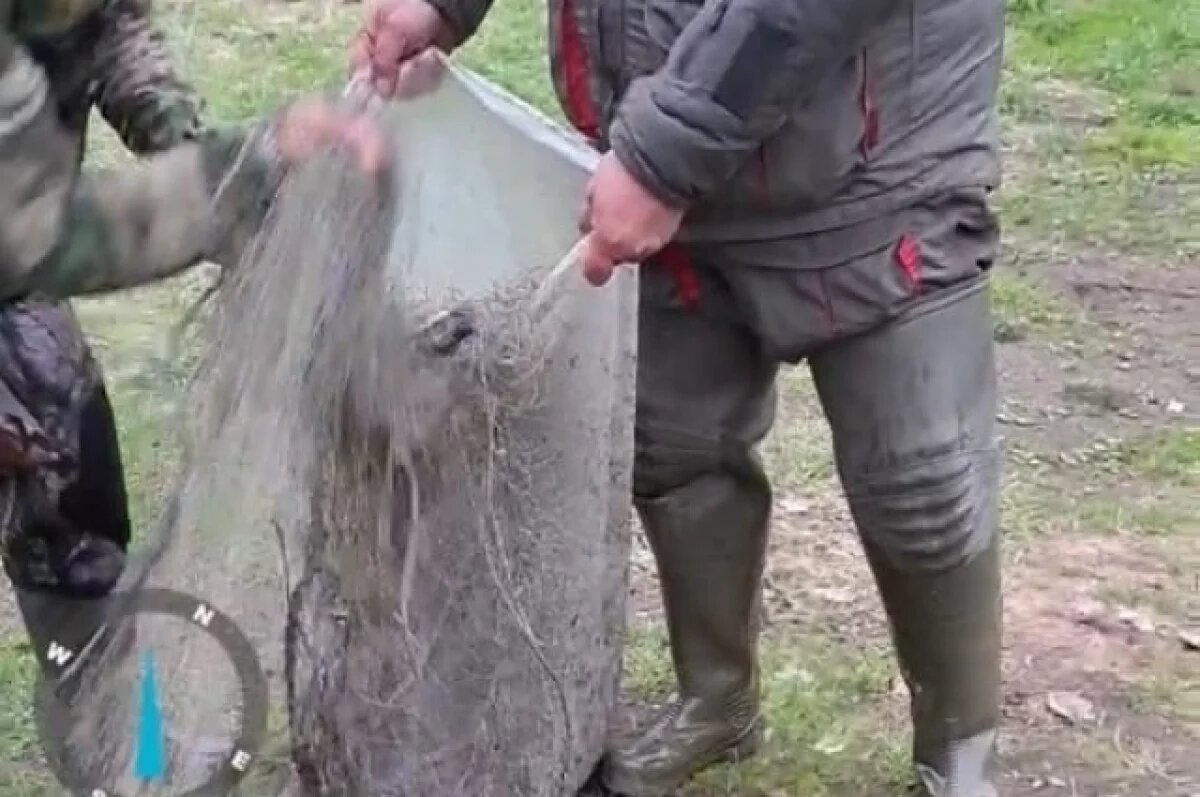    На Камчатке браконьеры пытались утопить сети, заметив рыбоохрану