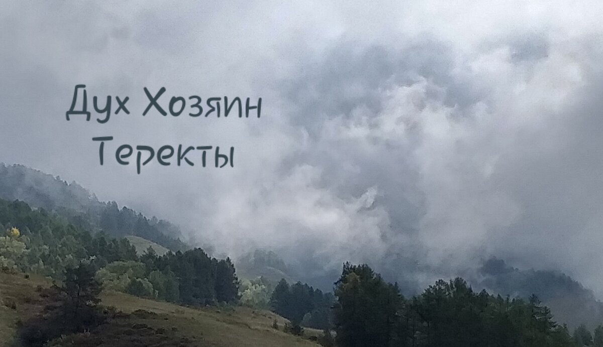 Фото сделано автором 25.06.2023 в с. Теректа Усть ~ Коксинскоого района РА