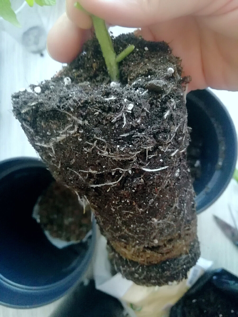 Объём ёмкости 500 мг