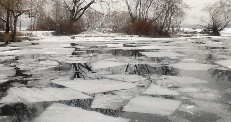 Фото: администрация Билибинского района 