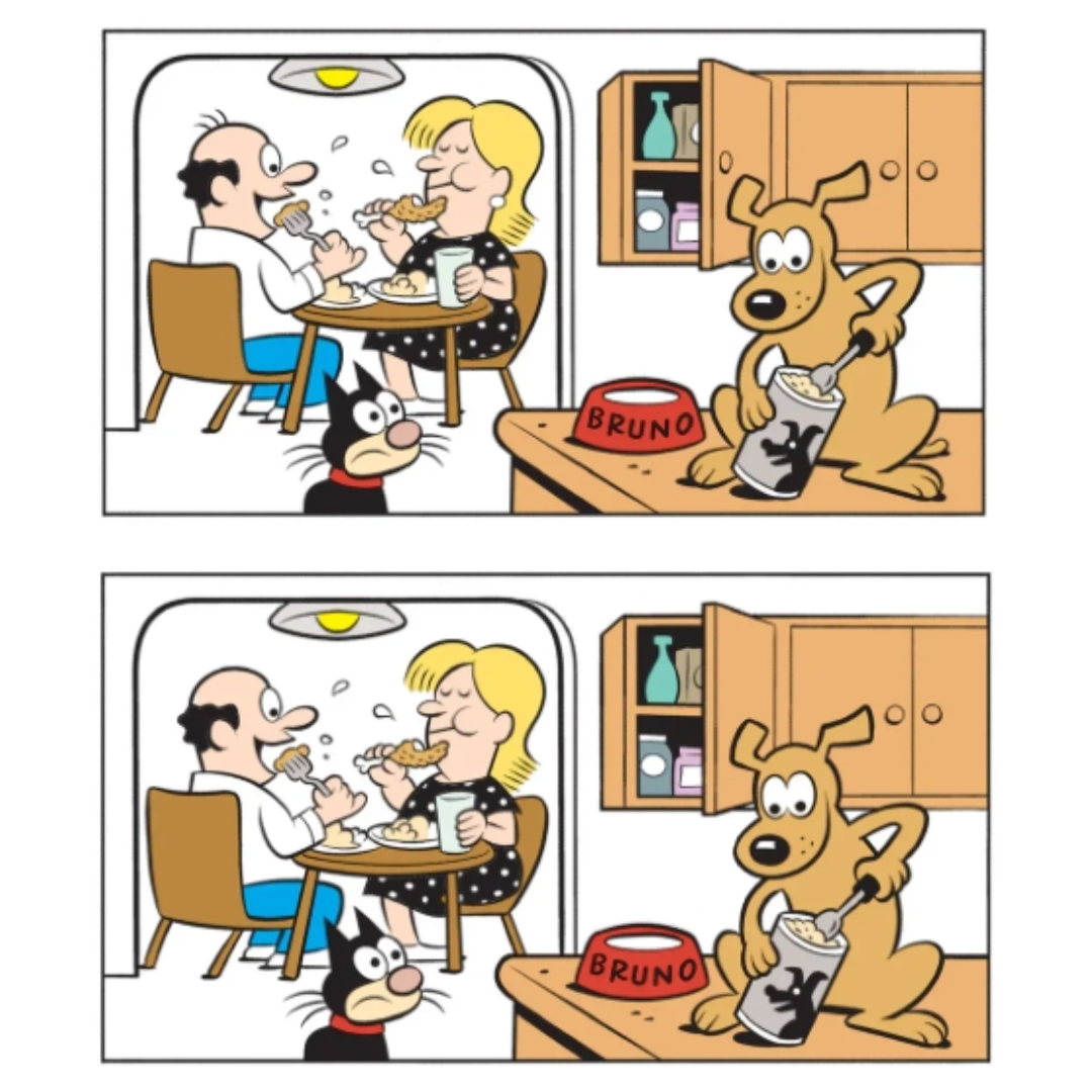 Иллюстрации автора