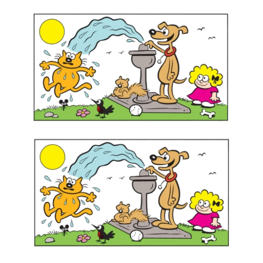 Иллюстрации автора