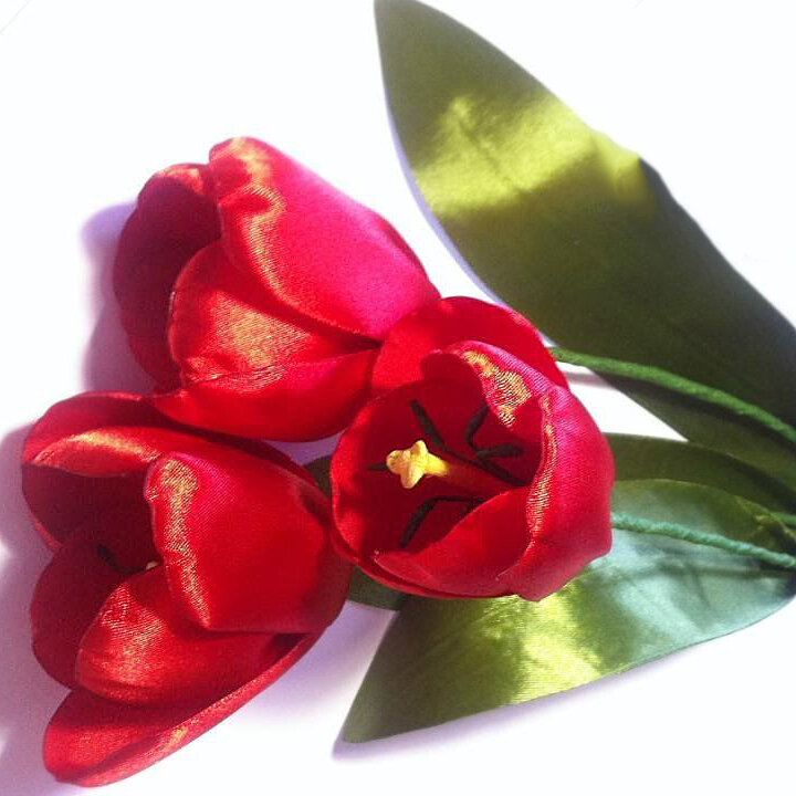    Тюльпаны из лент    
Источник: Скриншот из видео