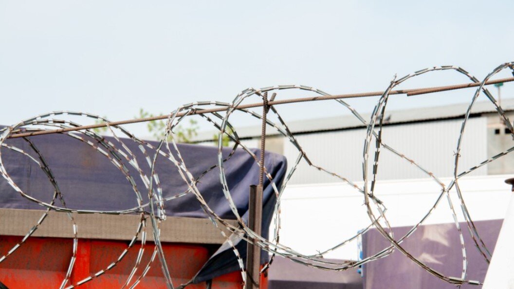    Svetlana Vozmilova/Globallookpress