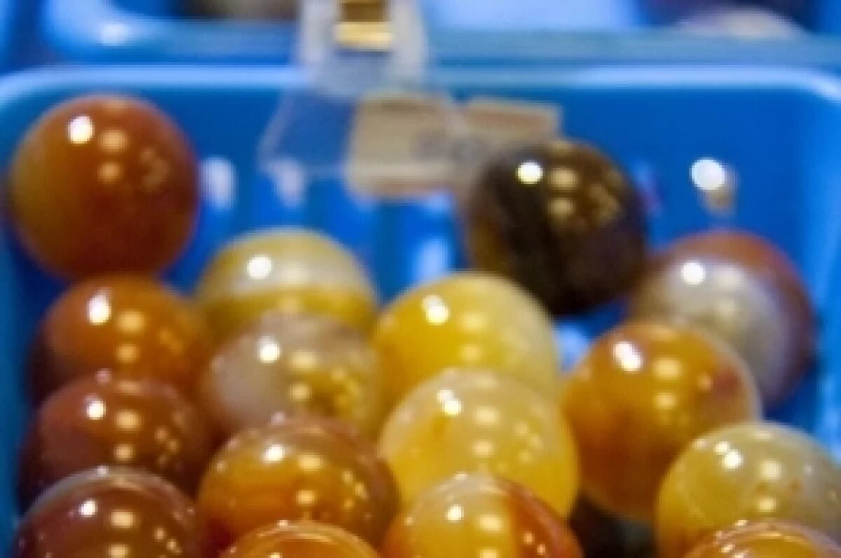    Палеонтолог Ефременко объяснил, что за «яйца динозавра» продают в интернете