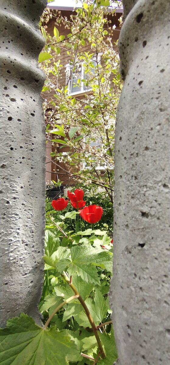 Личное фото