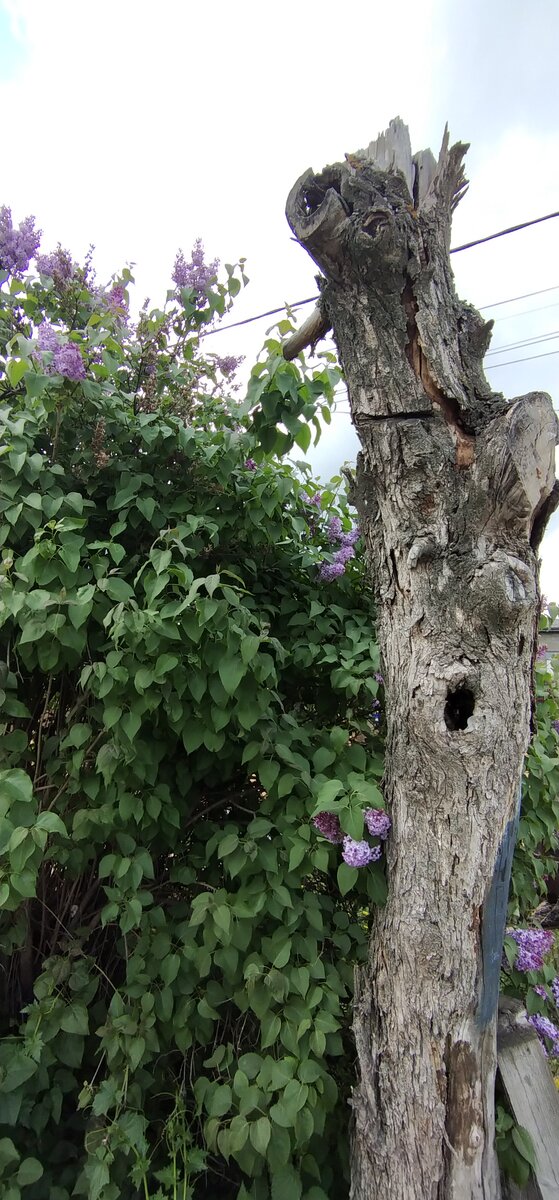 Личное фото