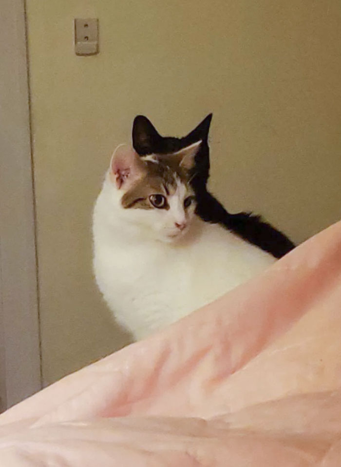 Источник: www.reddit.com/r/mildlyinteresting/