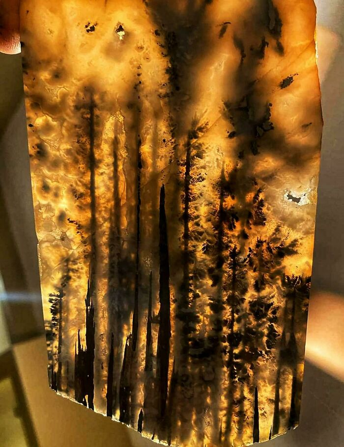 Источник: www.reddit.com/r/mildlyinteresting/