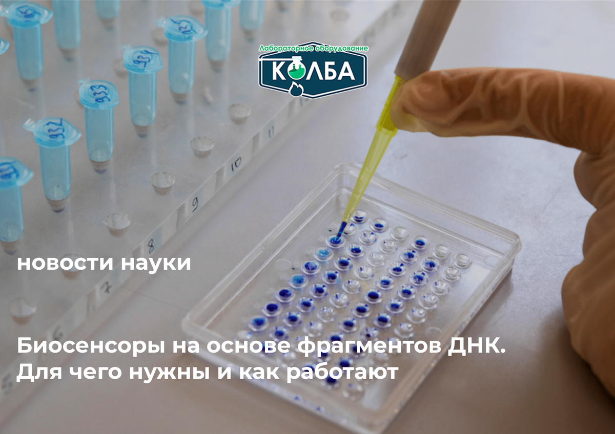 Биосенсоры на основе фрагментов ДНК. Для чего нужны и как работают