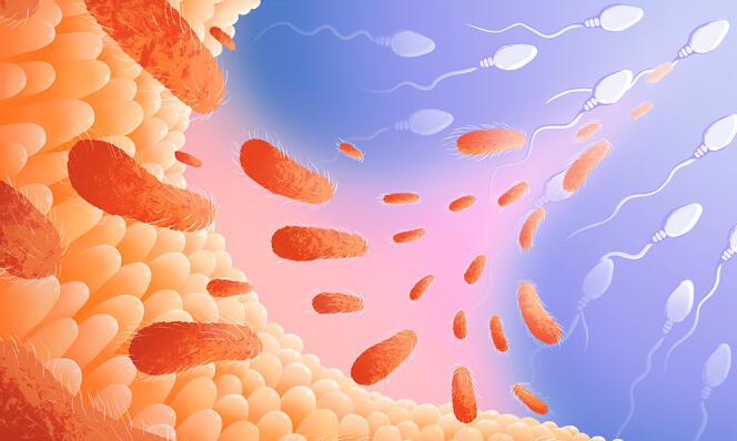 Иллюстрация: J. Carvalho/ I. Romero Calvo/ EMBL