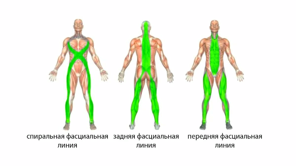 Добавьте описание