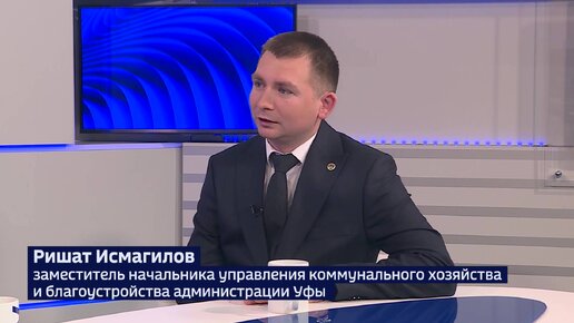 Мэрия Уфы: «Деревья нужно обновлять, потому что у них, как у человека, есть срок жизни»