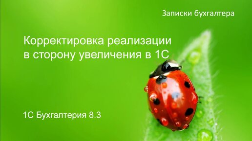 Корректировка реализации в сторону увеличения в 1С