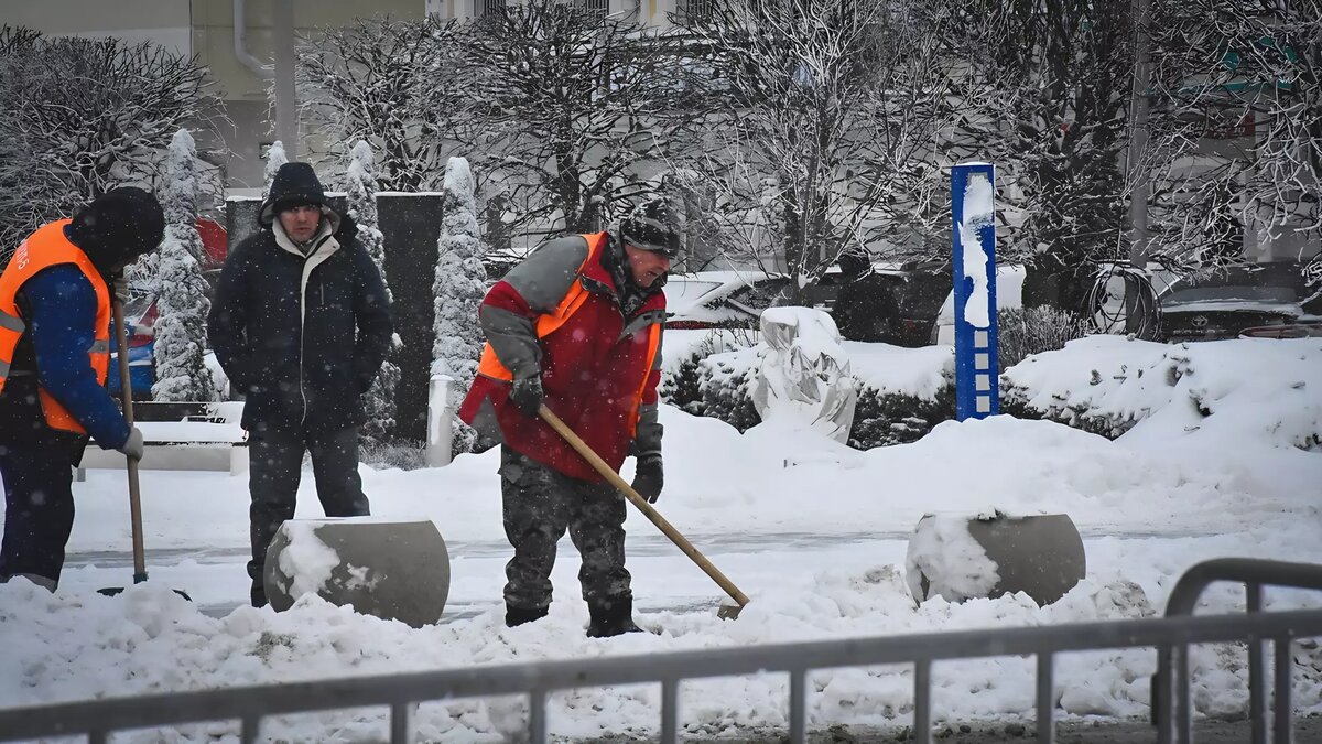 Власти Сургута намерены перестать чистить снег в городе. По крайней мере,  как раньше | muksun.fm | Дзен