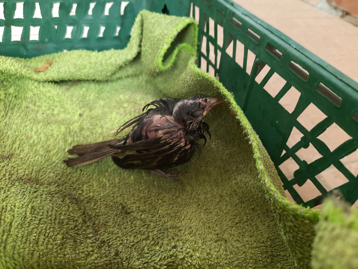 Из личных архивов