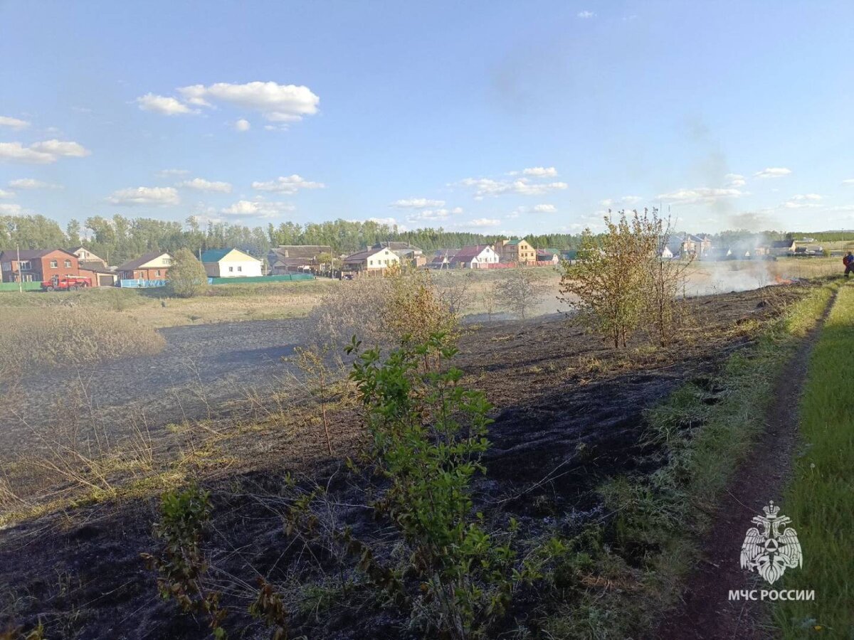 В Башкирии в Туймазах спасатели предотвратили возгорание жилых домов |  Башкортостан 24 | Дзен