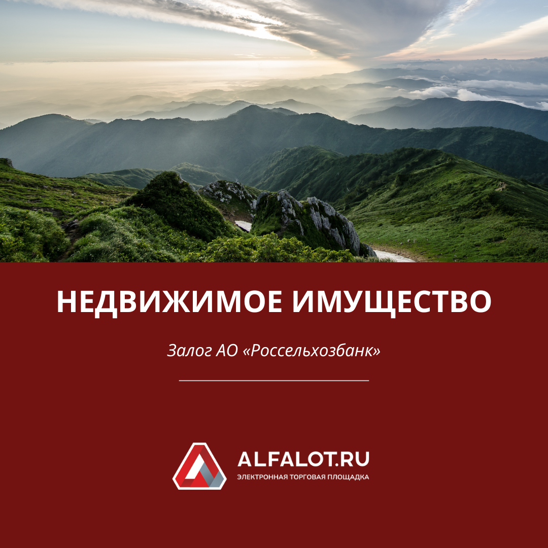 Продажа 10 жилых домов в Республике Дагестан | ЭТП ALFALOT | Дзен