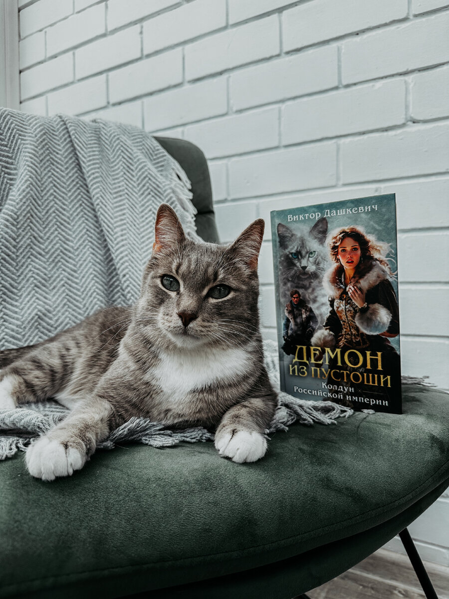 Кот по имени Кот оценил книгу 