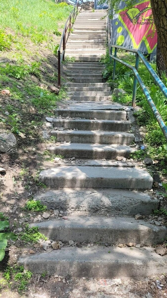     Автор: пресс-служба администрации Владивостока Источник: vlc.ru