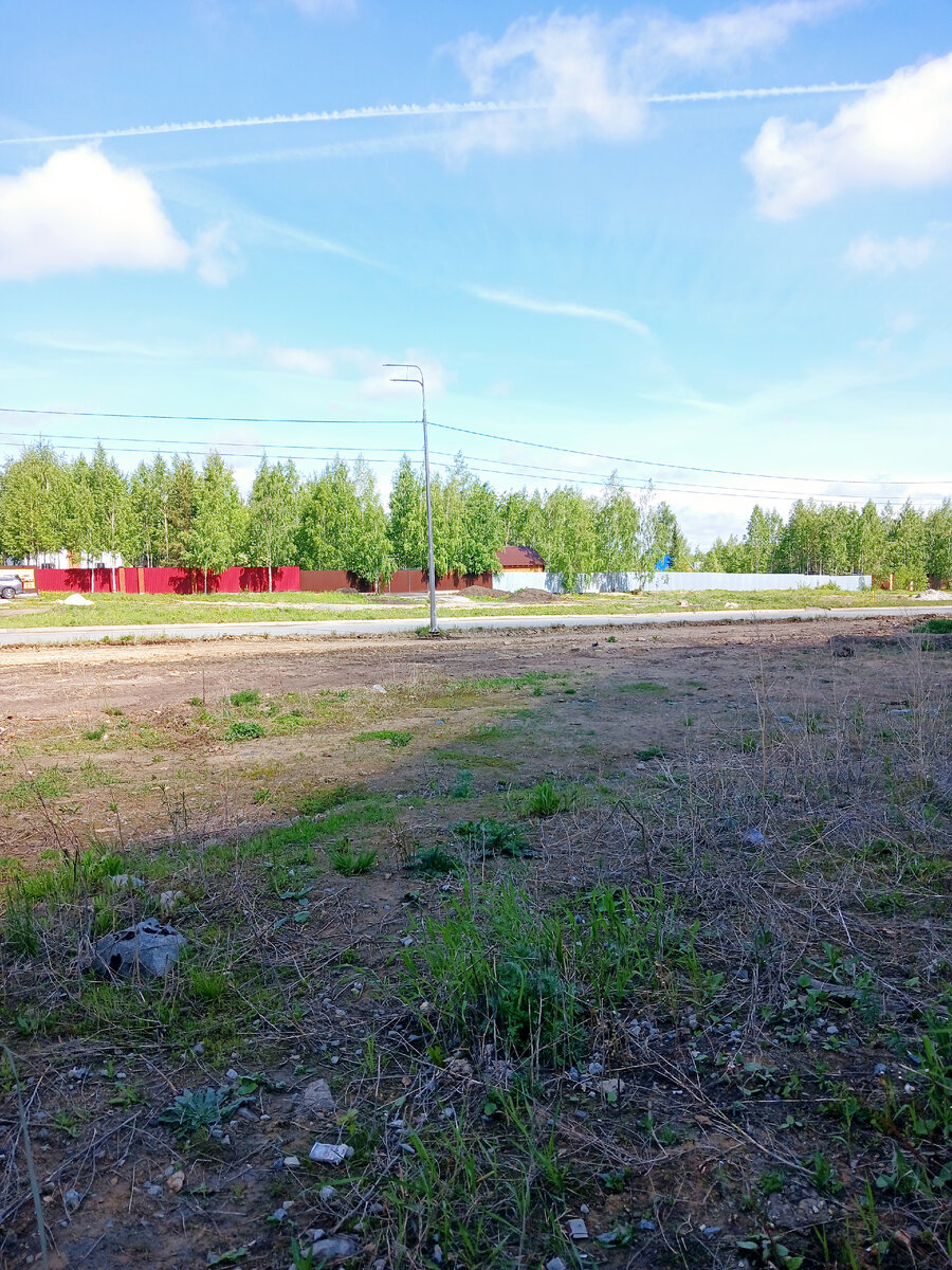 "Доброе утро мир! Ты прекрасен!" Фото автора 