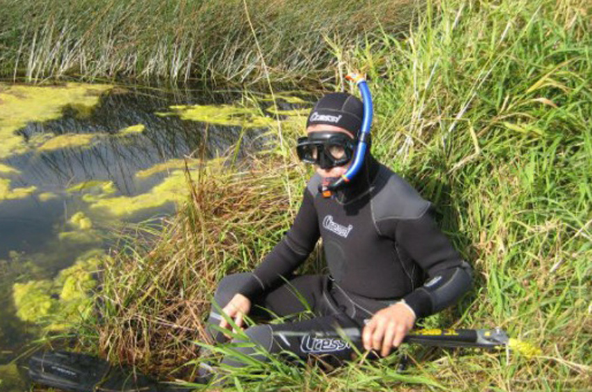 фото из просторов интернета