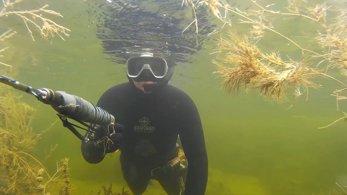 фото с просторов интернета