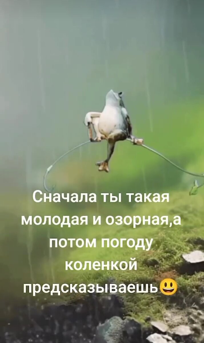 Из интернета