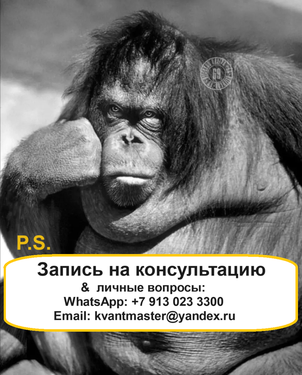 Грустная обезьяна