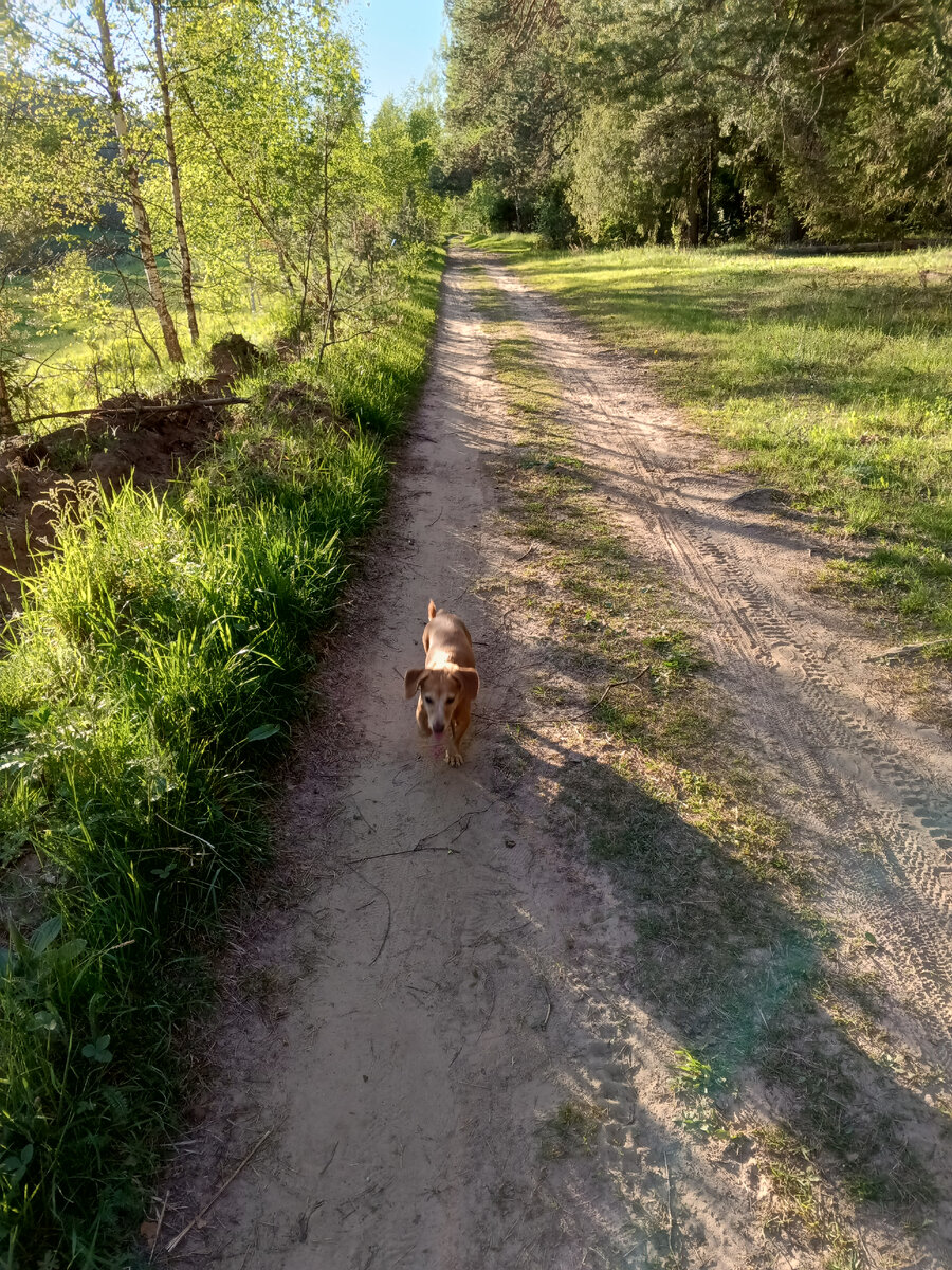 Фото автора