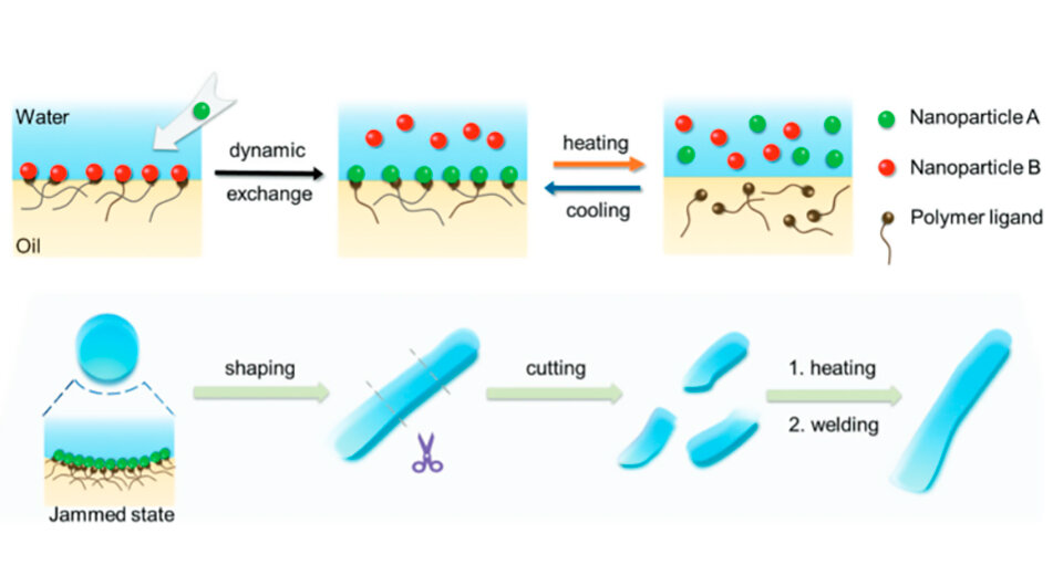   Yunhui Wen et al. / Advanced Materials, 2024