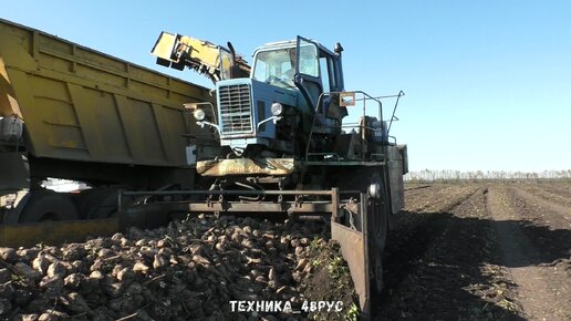 Погрузчик - очиститель сахарной свёклы СПС-4,2 - советская легенда!