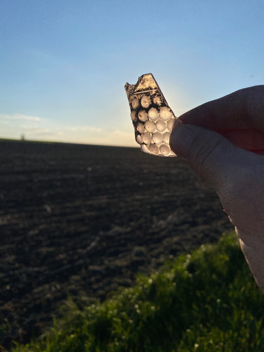 Находка в поле на месте с. Новоспасское. Фото А. Наумова. 2024