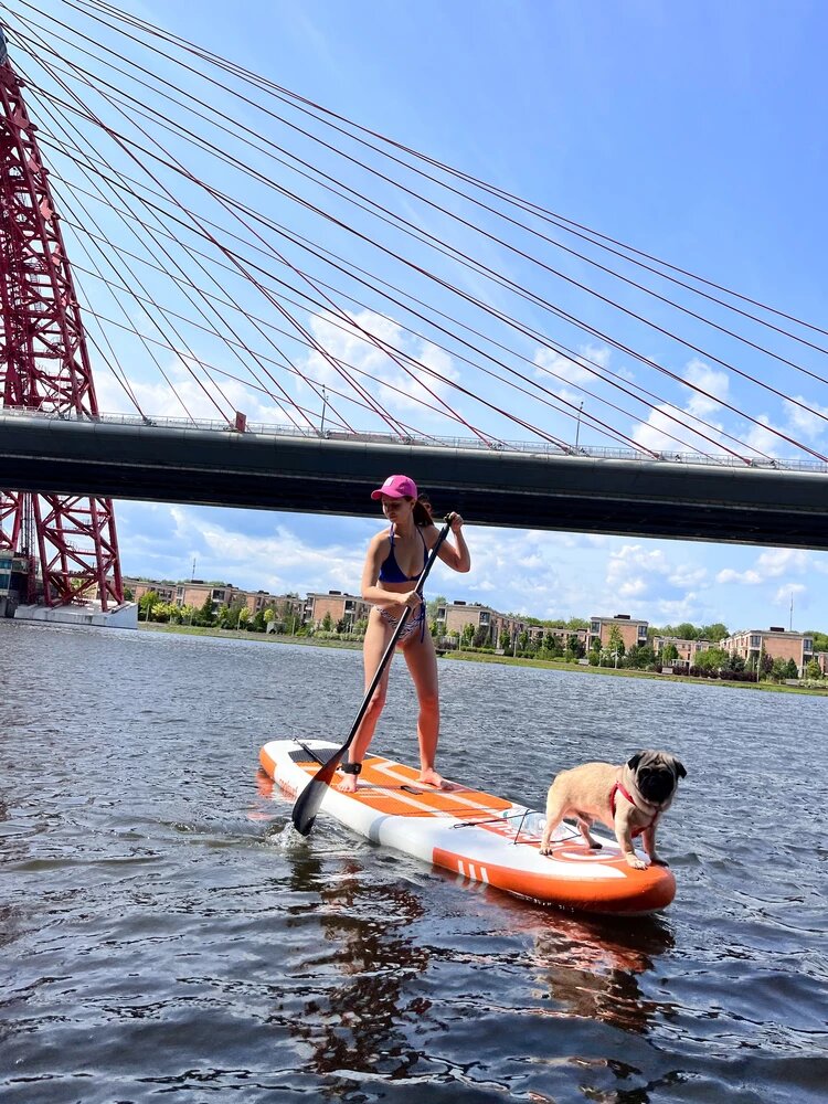 Современный Sub board от Wiekk