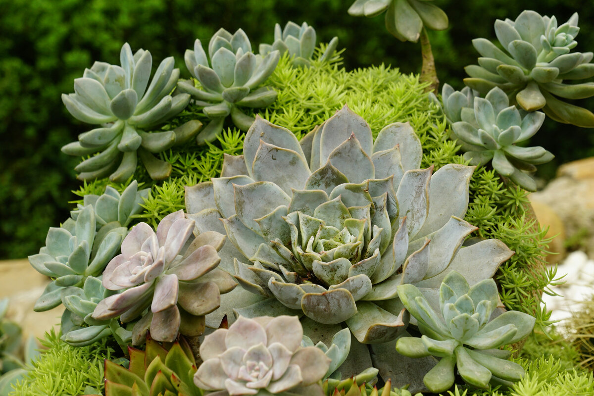 Картинка с бесплатного фотостока https://unsplash.com, автор Duy Le Duc