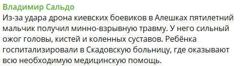    Скриншот:Telegram/Владимир Сальдо