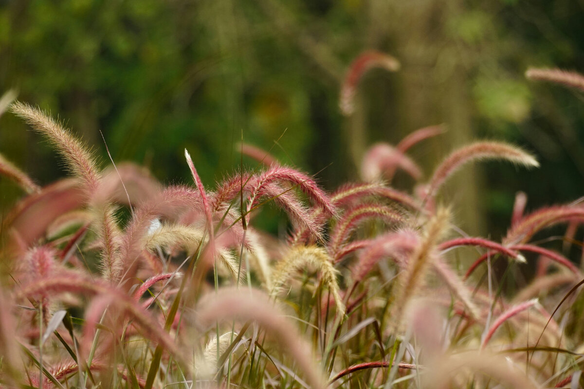 Картинка с бесплатного фотостока https://unsplash.com, автор Duy Le Duc 